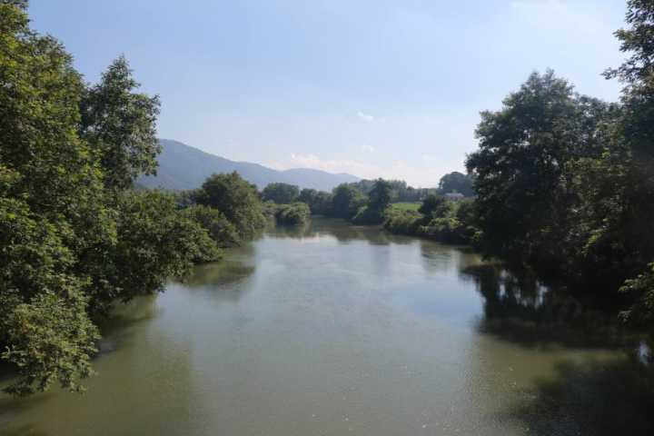 tapplay