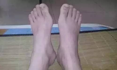 tapplay